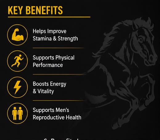 Shakti Vardhak Vati – Ayurvedic Tablets for Men (30 Tablets)